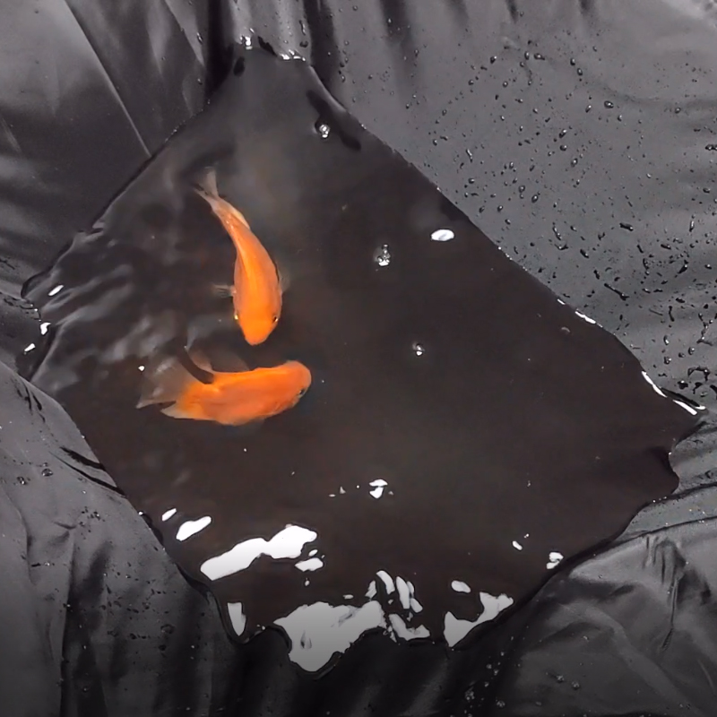 Nueva cubierta de motocicleta  - Electric Scooter Rain Cover reseña y precio